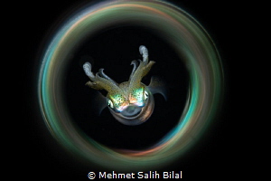 Squid with magic tube. by Mehmet Salih Bilal 